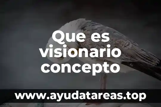 Ácido clorhídrico que es significado y concepto 5 Que es visionario concepto