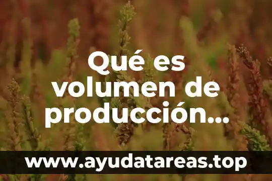 Qué es volumen de producción definición