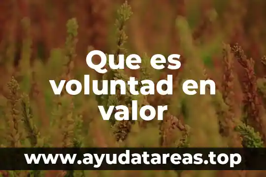 Que es el valor de escuchar 3 Que es voluntad en valor