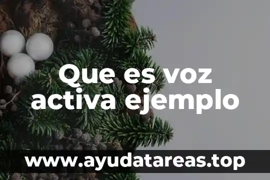 Que es voz activa ejemplo
