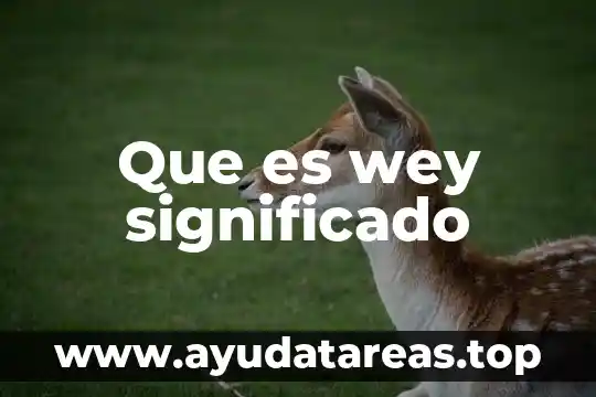 Que es el cirio pascual y su significado 5 Que es wey significado