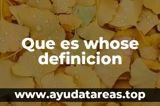 Qué es alocéntrico definición 5 Que es whose definicion