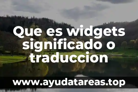 Qué es orbit mapping traducción 4 Que es widgets significado o traduccion