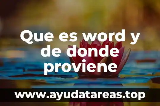Que es el voleibol y de donde proviene el concepto 6 Que es word y de donde proviene