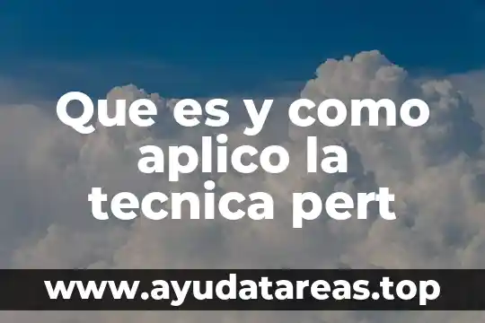 Que es y como aplico la tecnica pert