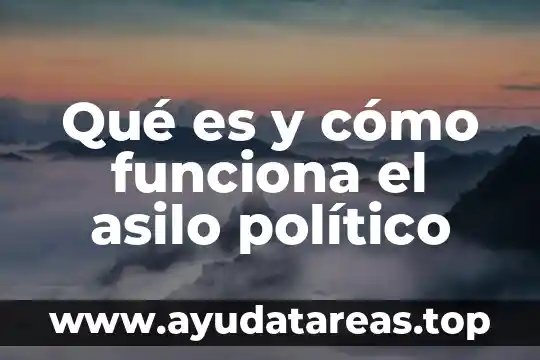 Qué es y cómo funciona el asilo político