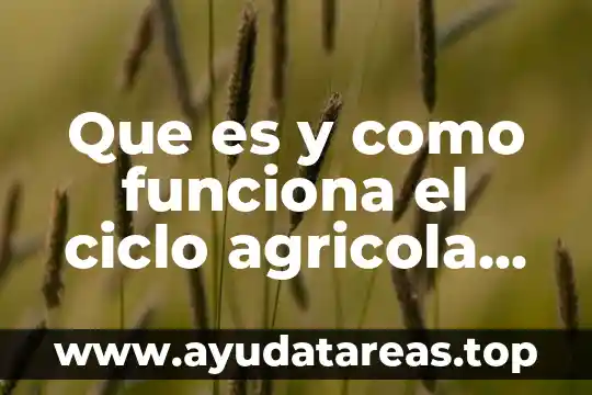 Que es y como funciona el ciclo agricola en mexico