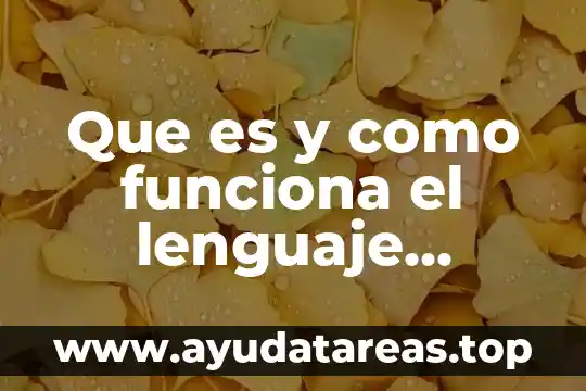 Que es litecoin y como funciona 8 Que es y como funciona el lenguaje corporal
