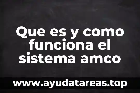Que es y como funciona el sistema amco