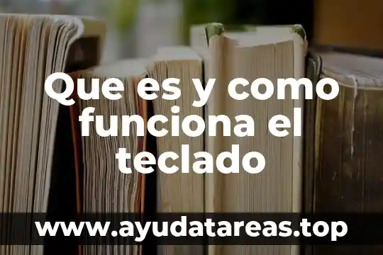 Que es nomenclatura y tipos logistica 8 Que es y como funciona el teclado
