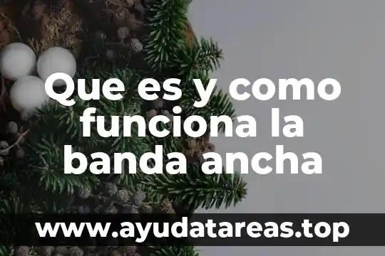 Que es una banda transportadora y tipos 4 Que es y como funciona la banda ancha