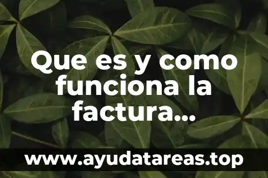 Que es y como funciona la factura electronica
