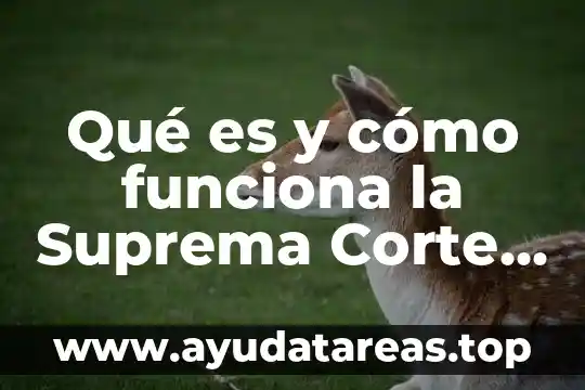 Que es la corte suprema de justicia y sus atribuciones 8 Qué es y cómo funciona la Suprema Corte de Justicia