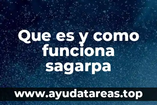 Que es un presta nombres y como funciona 5 Que es y como funciona sagarpa