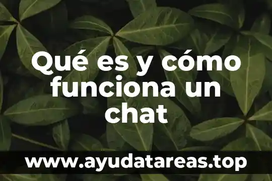 Que es un presta nombres y como funciona 4 Qué es y cómo funciona un chat
