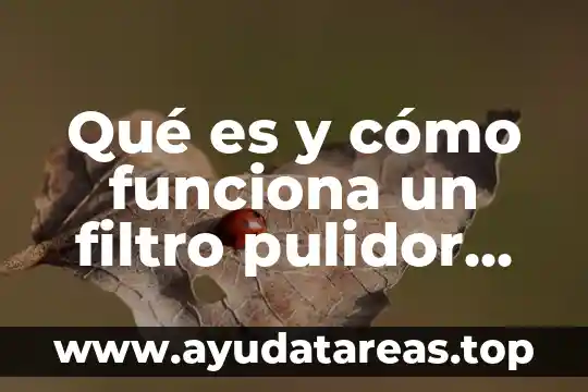 Deflector filtro de agua que es 4 Qué es y cómo funciona un filtro pulidor de agua