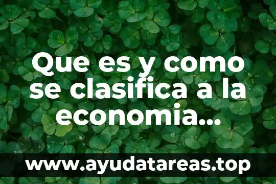 Que es y como se clasifica a la economia ramas