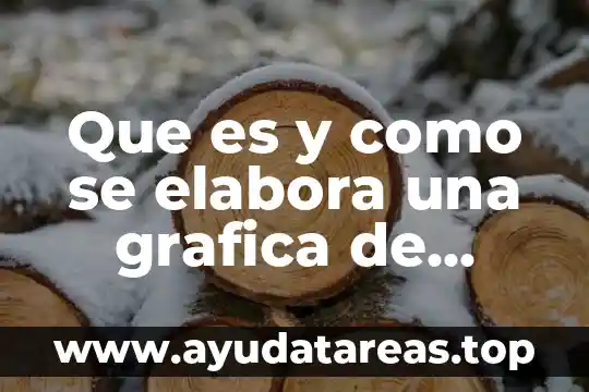 Que es y como se elabora una grafica de gantt