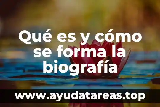 Qué es y cómo se forma la biografía