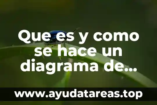 Que es un reductor de flujo de agua 5 Que es y como se hace un diagrama de flujo