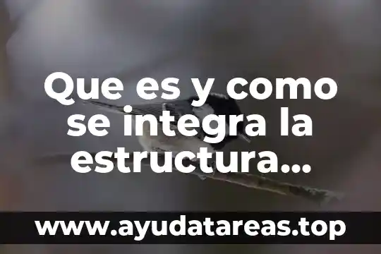 Que es y como se integra la estructura contable