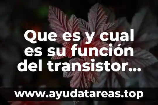 Que es y cual es su función del transistor strg5623