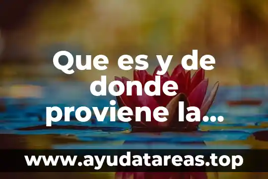 Que es el voleibol y de donde proviene el concepto 5 Que es y de donde proviene la inteligencia humana
