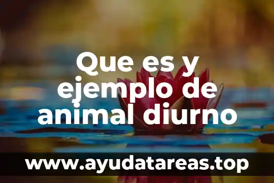 Que es el mundo animal 7 Que es y ejemplo de animal diurno