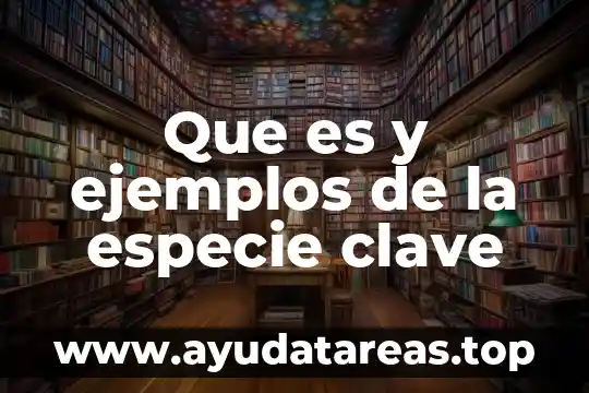 Para que es la clave de sol 8 Que es y ejemplos de la especie clave