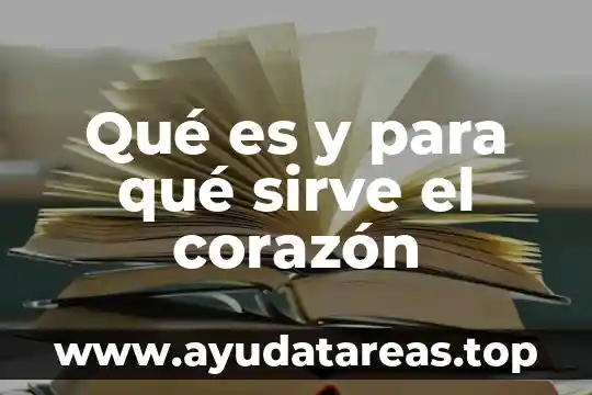 Qué es y para qué sirve el corazón