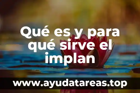 Qué es y para qué sirve el implan