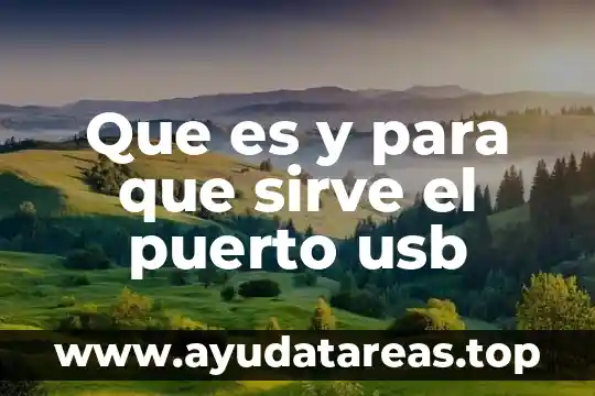 Qué es el cable USB y para qué sirve 3 Que es y para que sirve el puerto usb