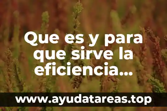 Qué es la dotación energética en alimento 7 Que es y para que sirve la eficiencia energetica
