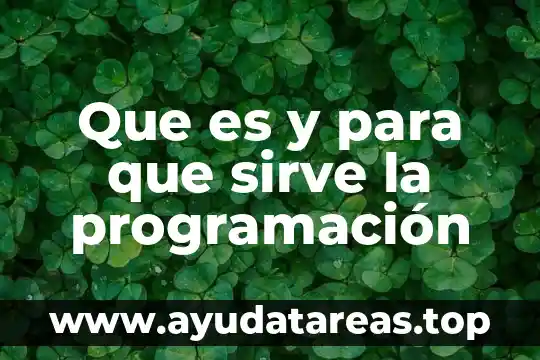 Que es y para que sirve la programación