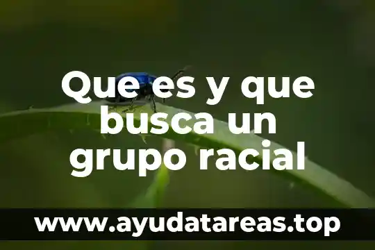 Que es un grupo auditor 6 Que es y que busca un grupo racial