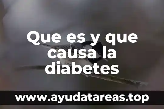 Que es causa y consecuencia de la revolucion mexicana 5 Que es y que causa la diabetes