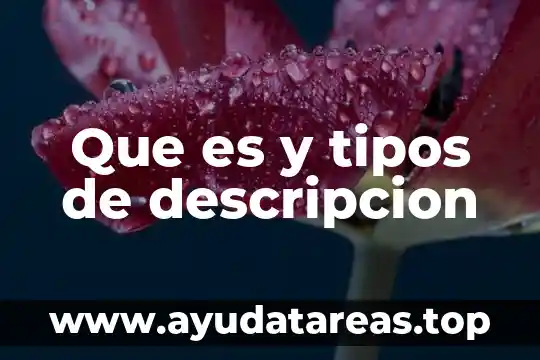 Que es un personaje y sus tipos 6 Que es y tipos de descripcion