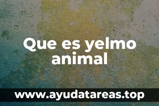 Nutrición animal que es el páncreas 3 Que es yelmo animal