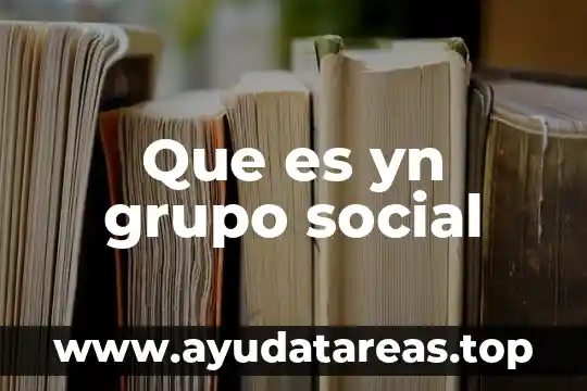 Que es yn grupo social