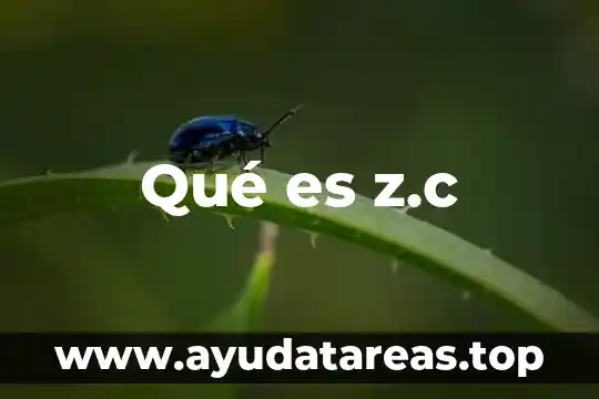 Para que es agua oxigenada 8 Qué es z.c