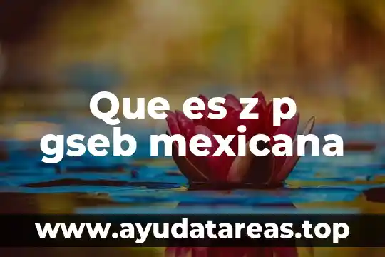 Que es la teoria z 7 Que es z p gseb mexicana