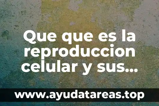 Que que es la reproduccion celular y sus caracteristicas