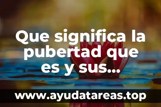 Que es la pubertad resumen para niños 8 Que significa la pubertad que es y sus caracteristicas