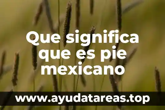 Que es un muro de medio pie 5 Que significa que es pie mexicano