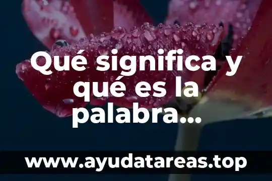 Qué es la palabra mover 6 Qué significa y qué es la palabra semántica