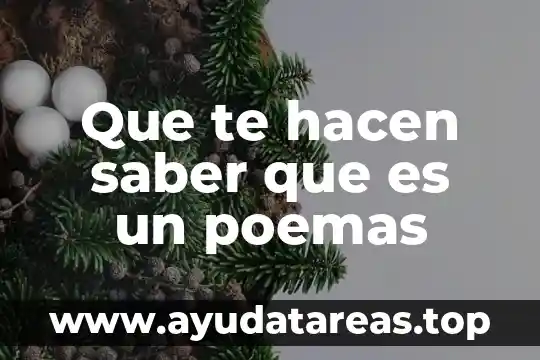 ¿Qué es mejor te de perejil o agua de oregano? 3 Que te hacen saber que es un poemas