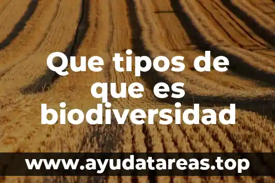 Qué es la filosofía médica 3 Que tipos de que es biodiversidad