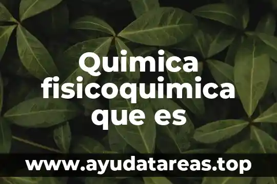 Quimica fisicoquimica que es