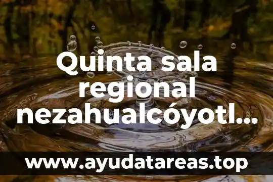 Que es una sala electrónica 6 Quinta sala regional nezahualcóyotl que es