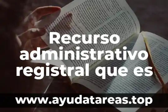 Recurso administrativo registral que es